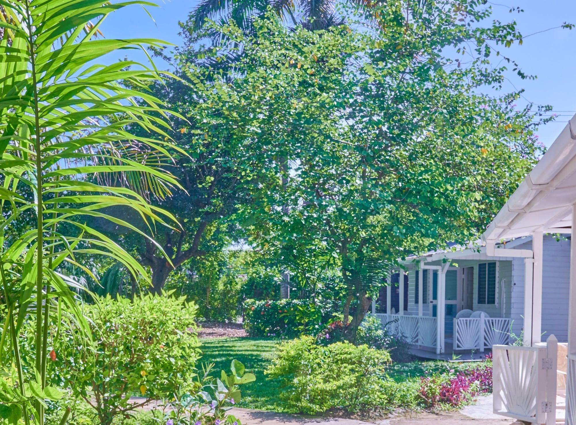 Equipamiento de Habitación The Yellow Bird
