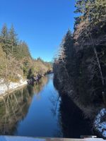 Renta Vacacional - Forks & twilighters getaway at the edge of SolDuc River.. bike, hike, walk, fish
