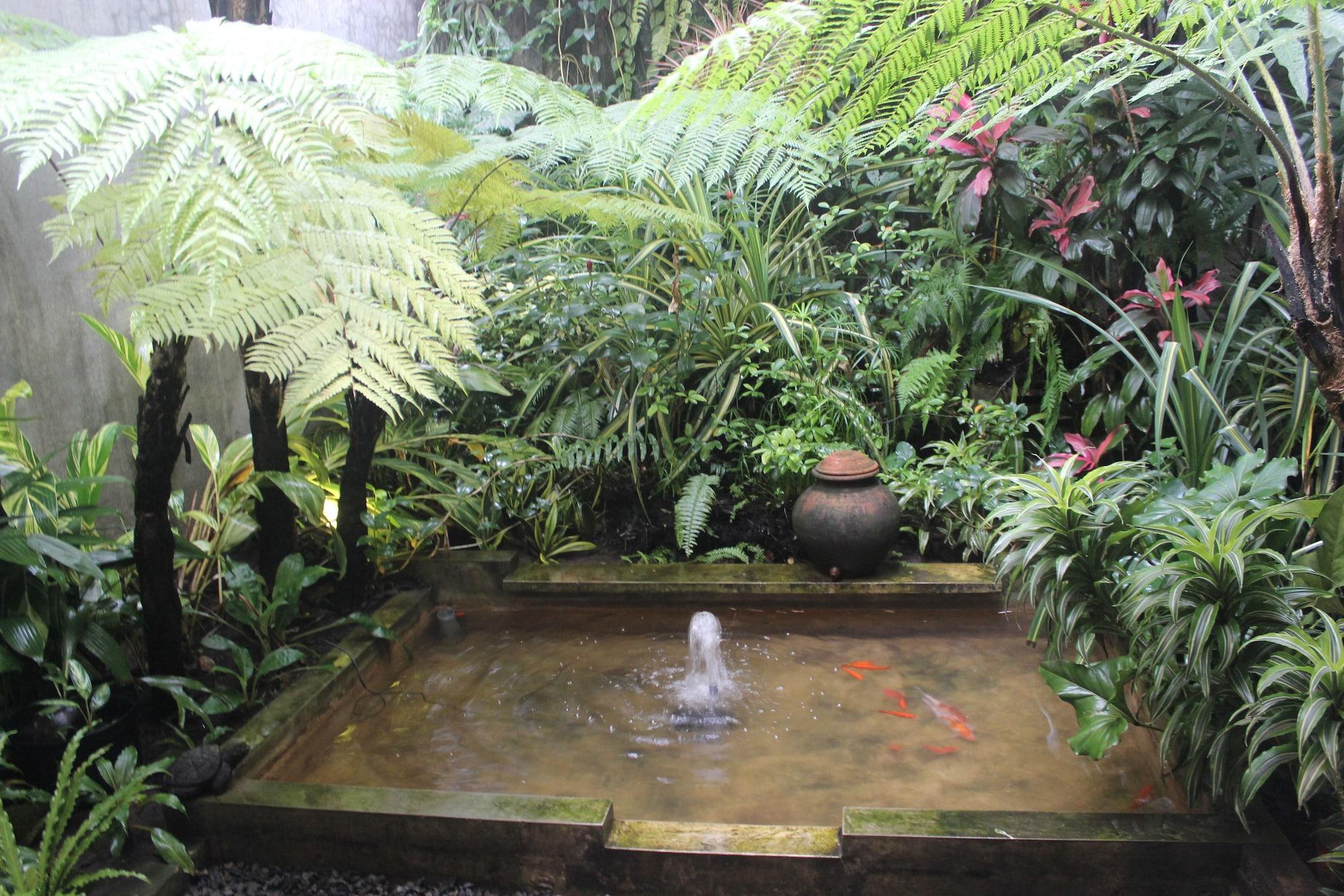 Comodidades del Alojamiento Buton Backpaker Lodge - Hostel