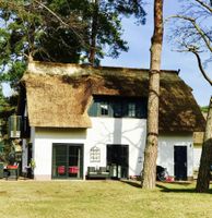 Alquiler Vacacional - My little Zanzibar 2, large color light therapy sauna, fireplace, DTV 5 *****