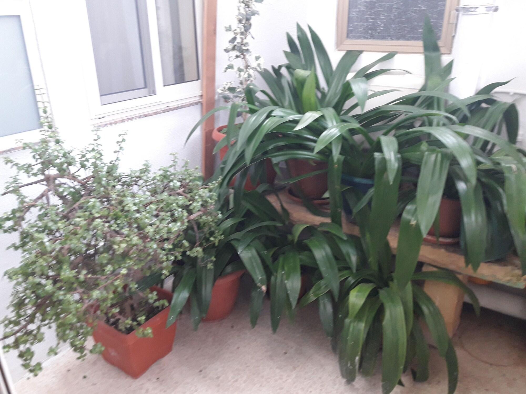 Instalaciones Recreativas Estrella Lodging