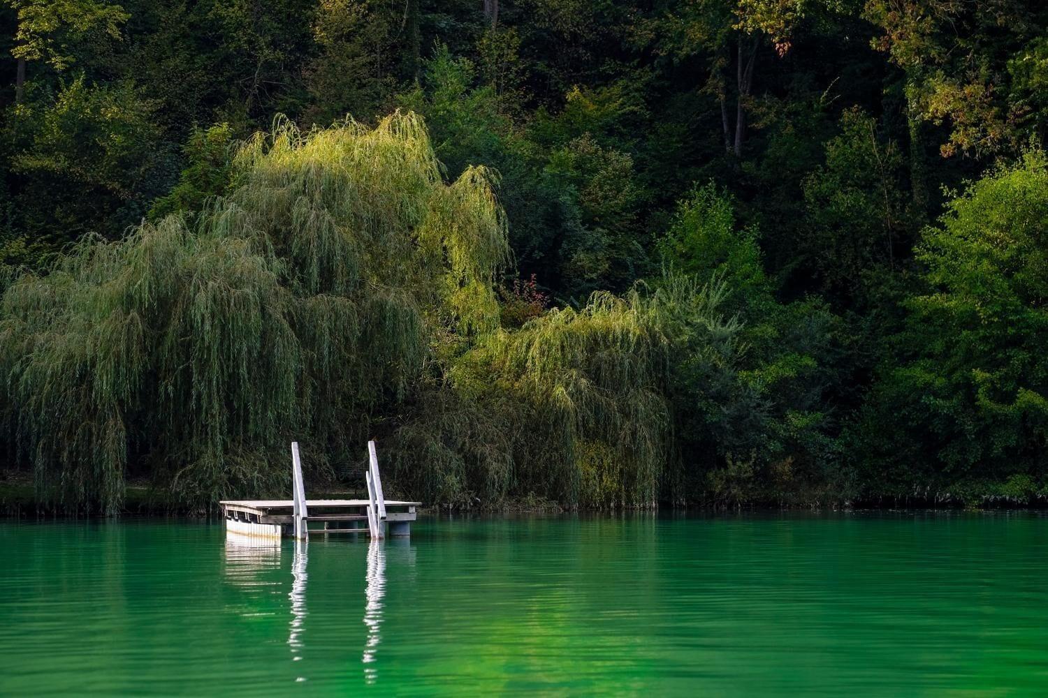 Varios Garten Hotel Salzach Garni