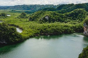 Actividad - Excursión al Parque Nacional Los Haitises y Cayo Levantado