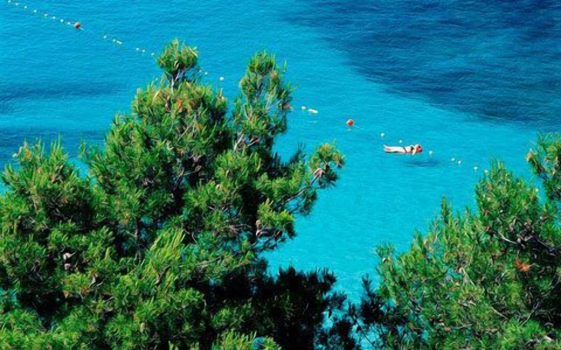 Playa Hotel Miramare Njivice