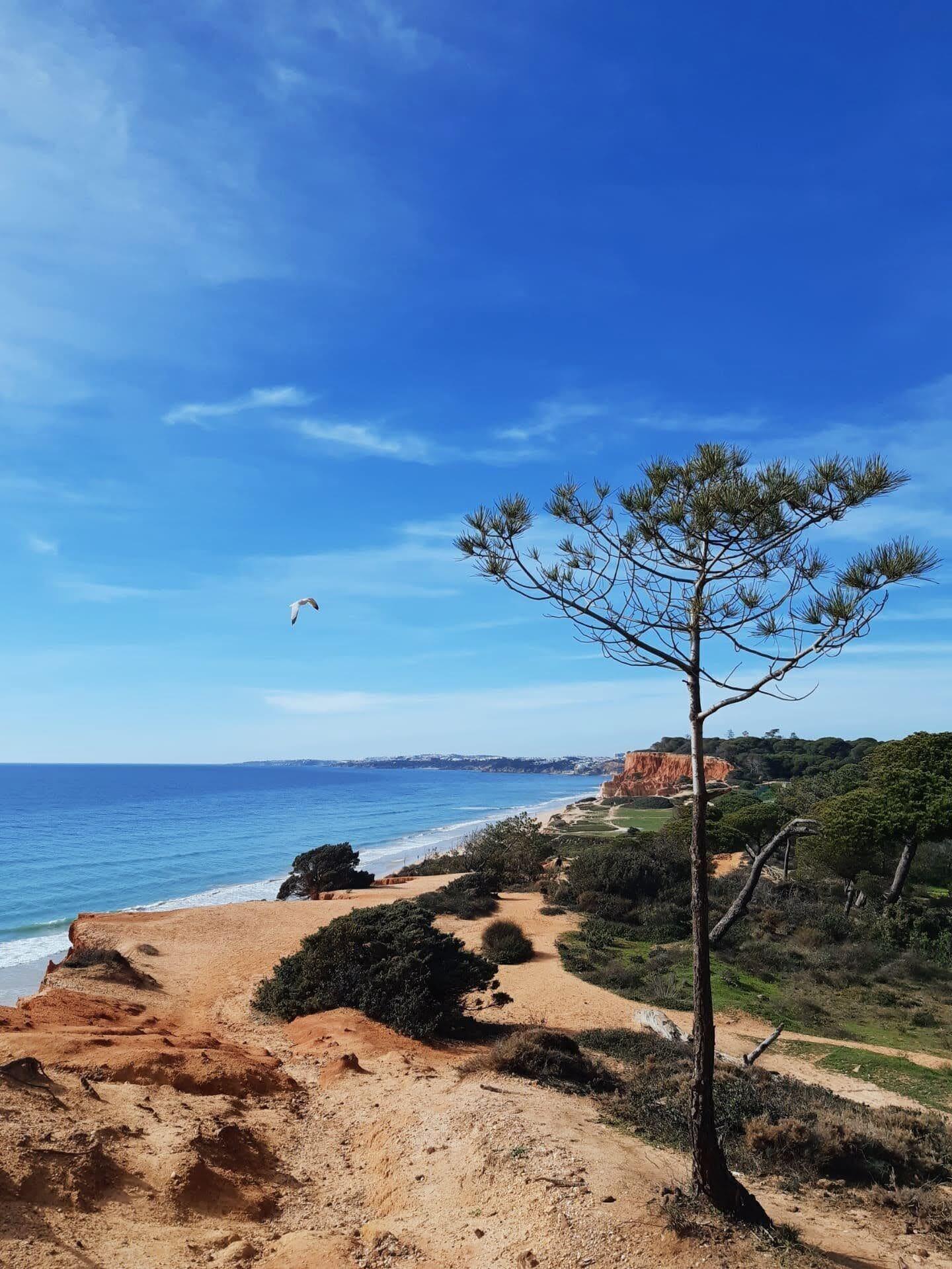 Playa Falésia Hotel - Adults Only