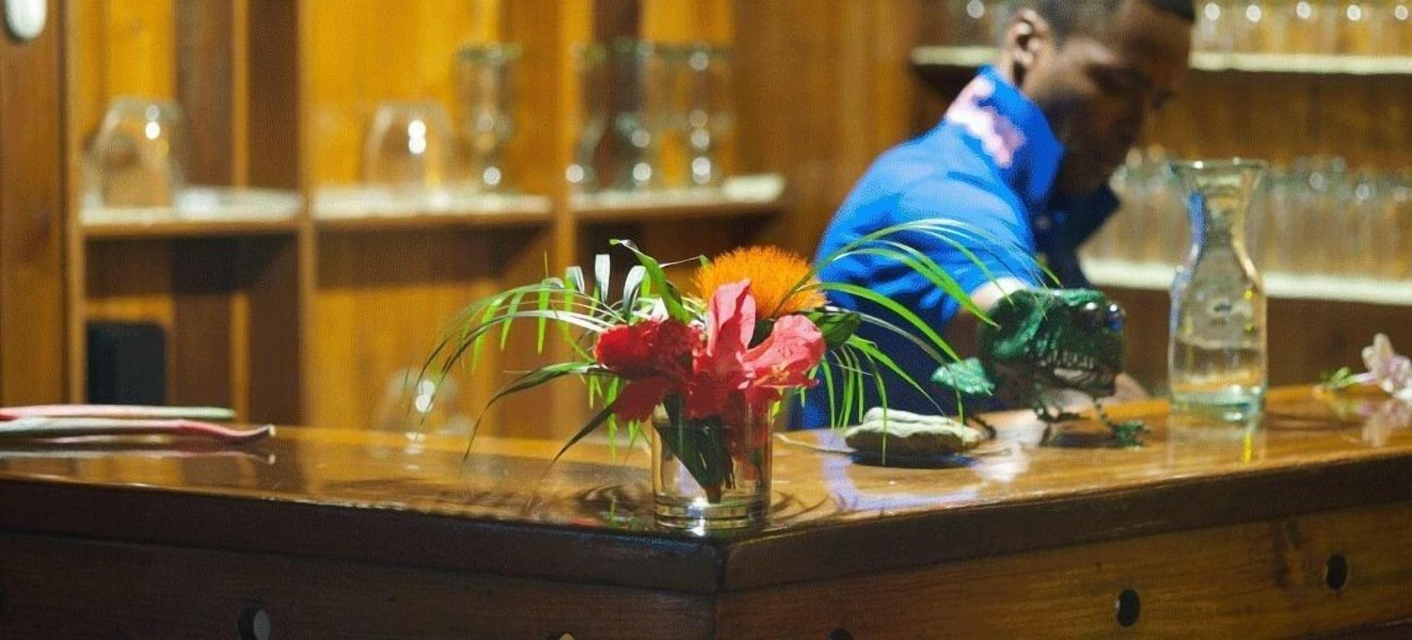 Bar/Salón Acajou Hotel