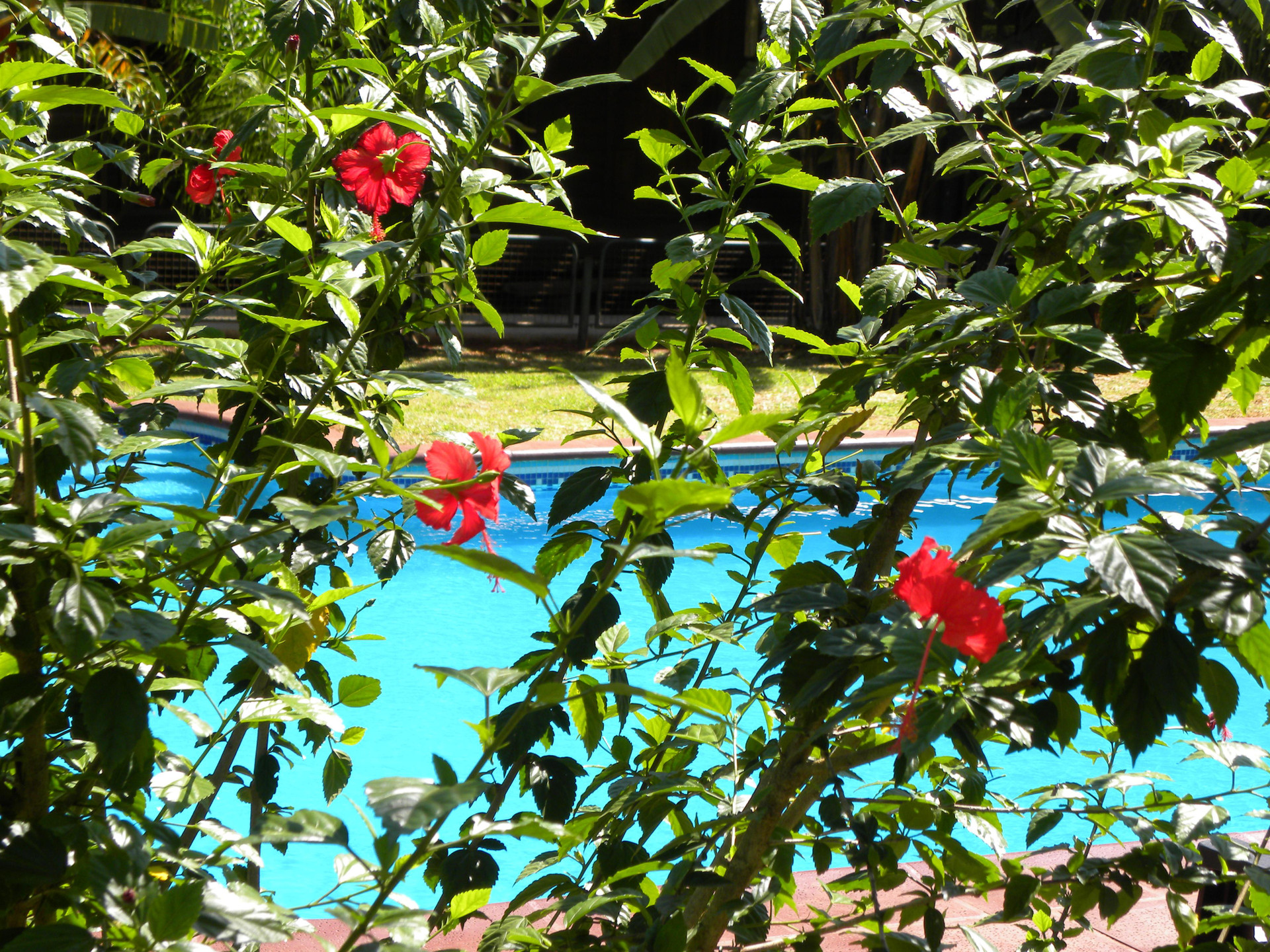 Varios Posada 21 Oranges
