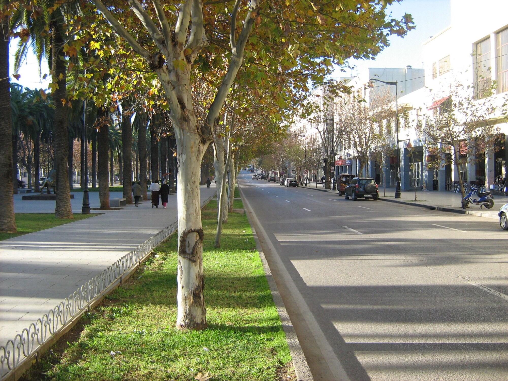 Vista Exterior Room in Guest Room - Charming Riad Ouliya in Fès With Authentic Moroccan Design