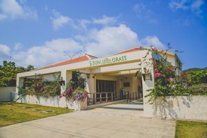 Alojamiento - Ishigakijima Sun Green Grass