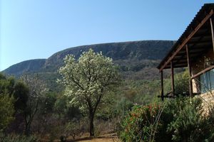 Alojamiento - Thirsty Falls Guest Farm