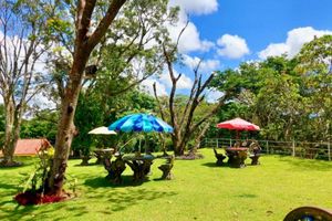 Alojamiento - Hotel Netto