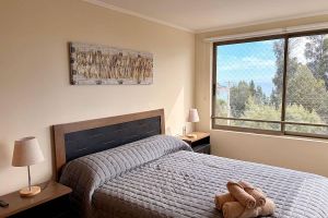 Aluguel por temporada - Great apartment in Concon Sur
