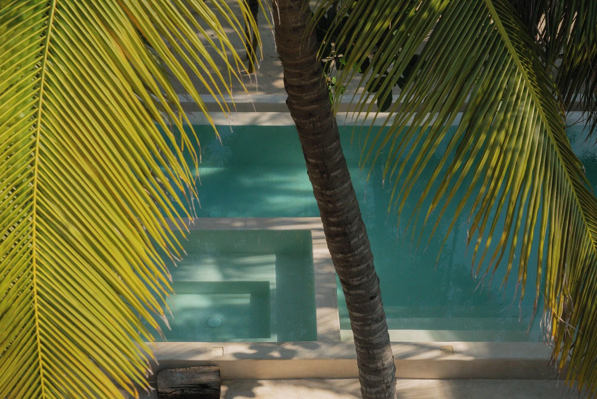 Vista Piscina Los Momentos - Bahía Soliman