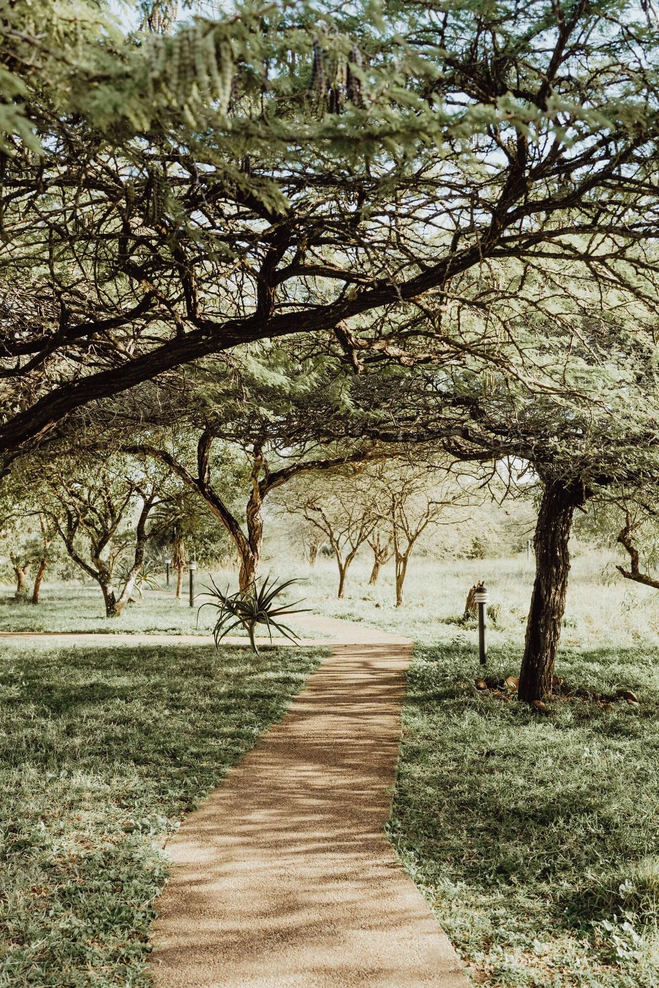 Vista Exterior Duiker Game Lodge
