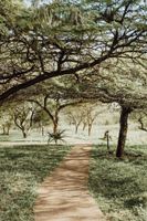 Alojamiento - Duiker Game Lodge
