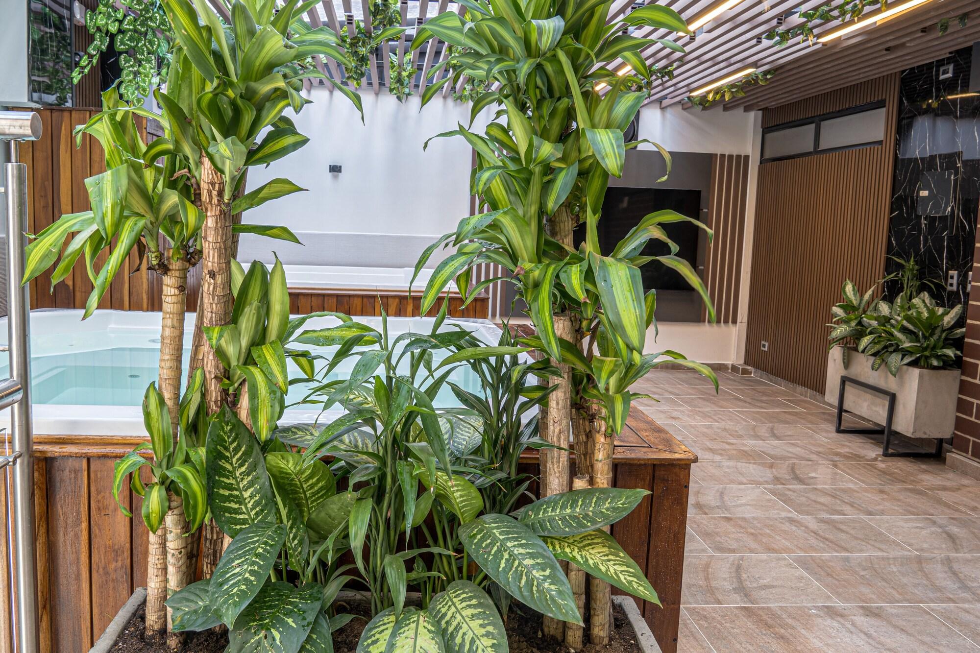 Comodidades del Alojamiento Luxury Suites Prana By Cadissa