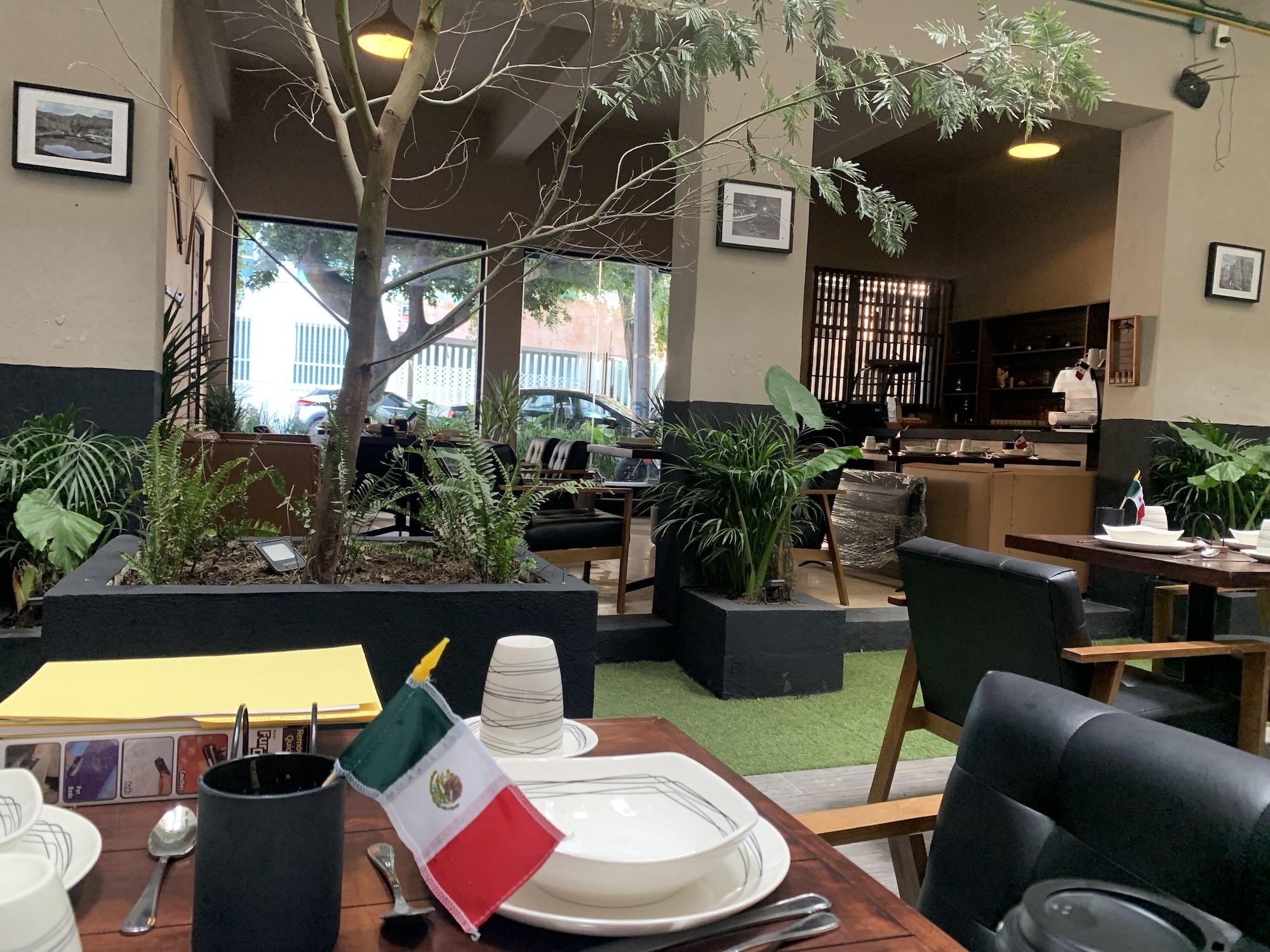 Restaurant Roma Norte Hostal