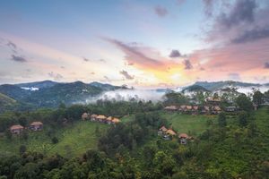 Alojamiento - 98 Acres Resort & Spa