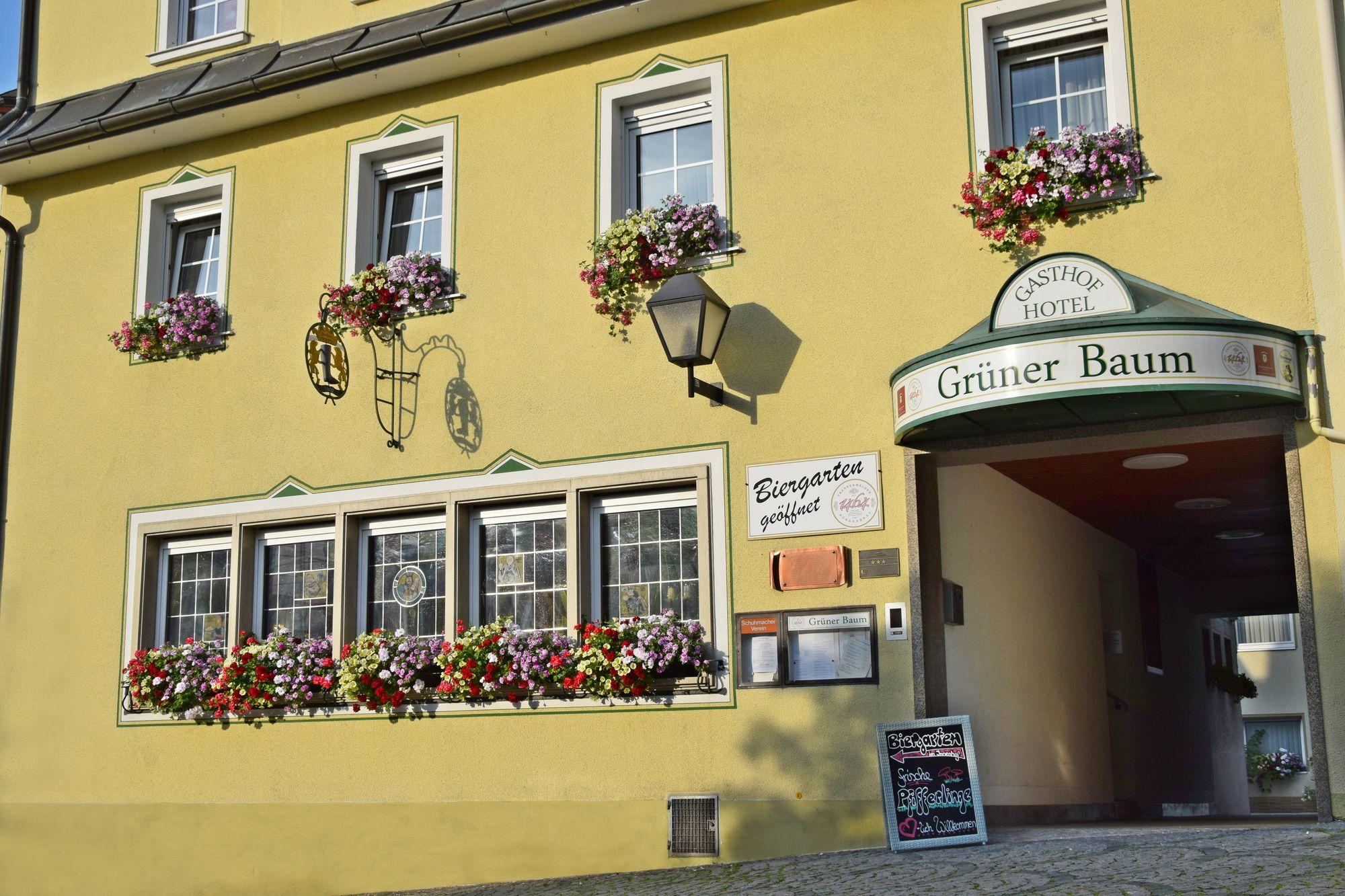 Varios Hotel & Gasthof Grüner Baum