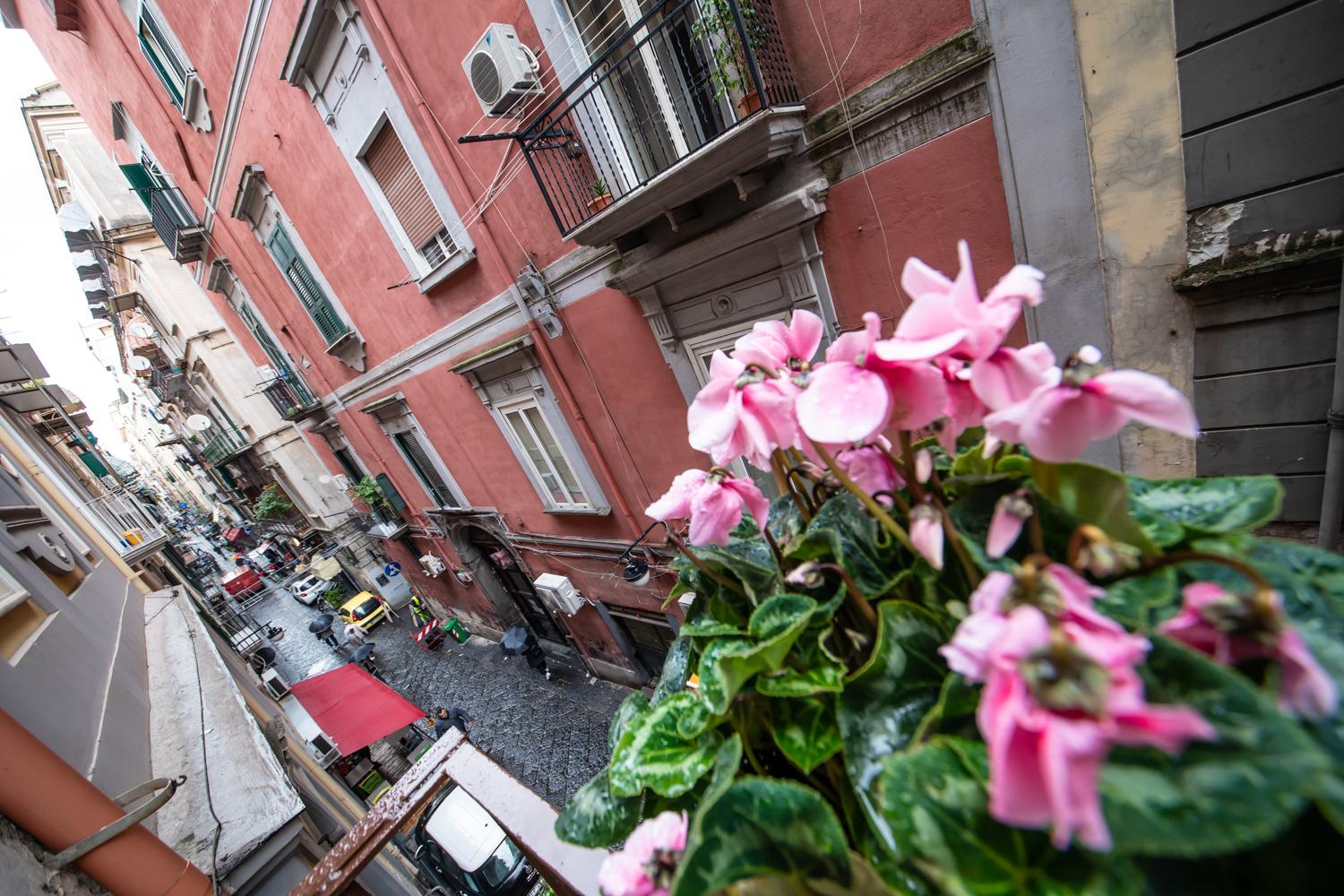 Vista Exterior Napoli Time