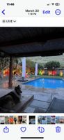 Alquiler Vacacional - Tropical Hawaiian theme Family paradise! ️‍♀️