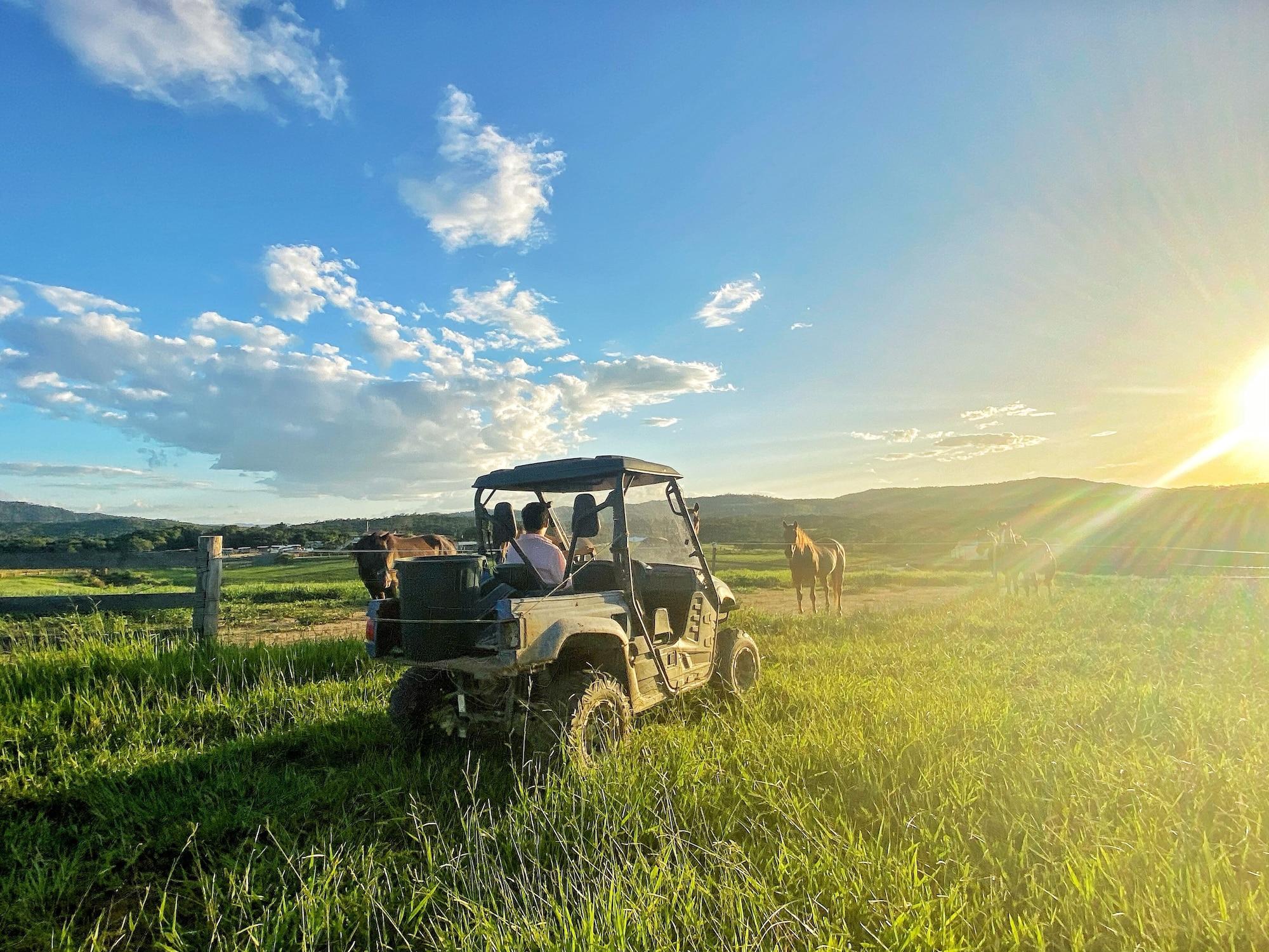 Vista Exterior Kur Cow farm
