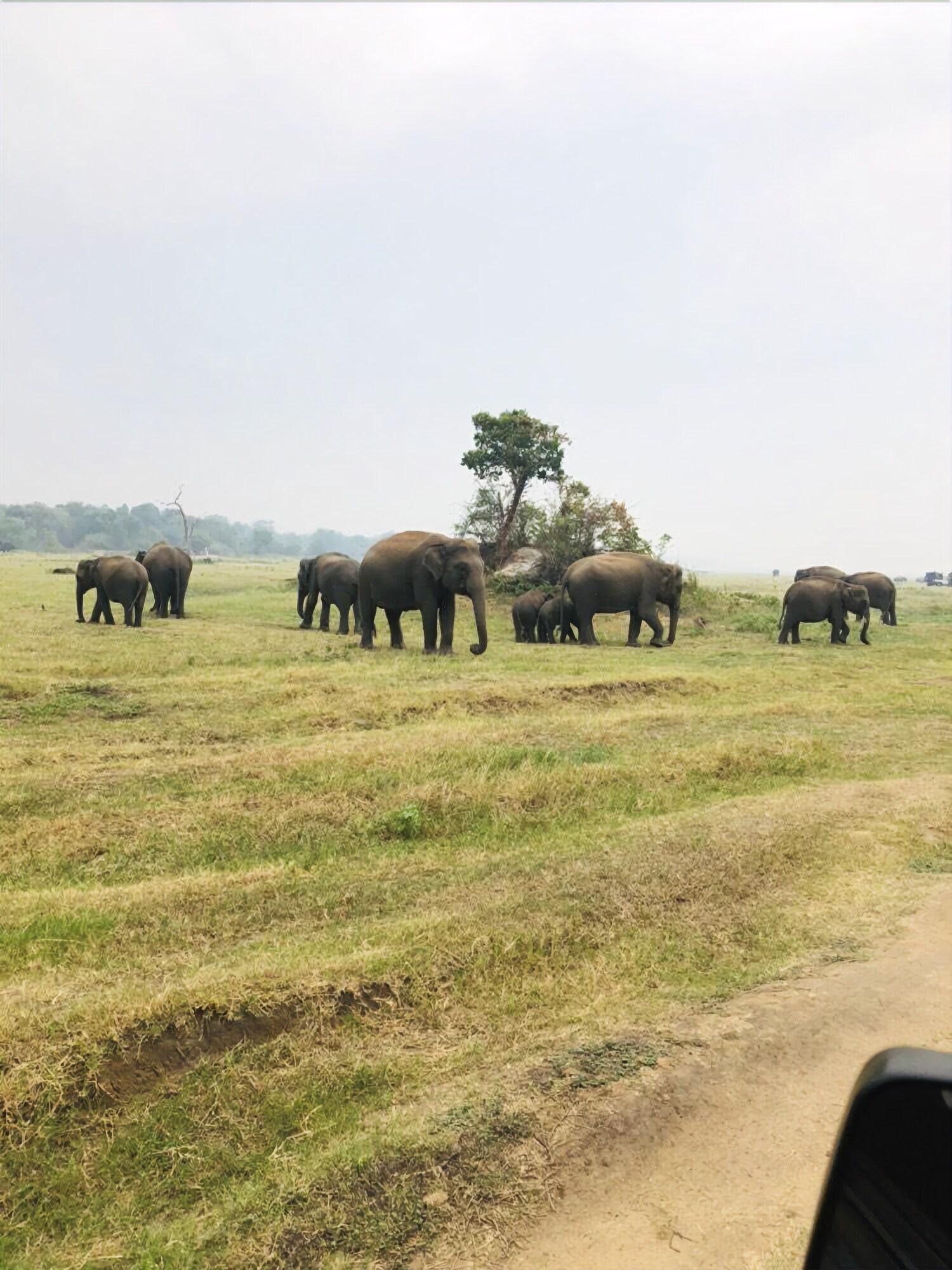 Instalaciones Recreativas Sigiriya Nature Villa Lodge