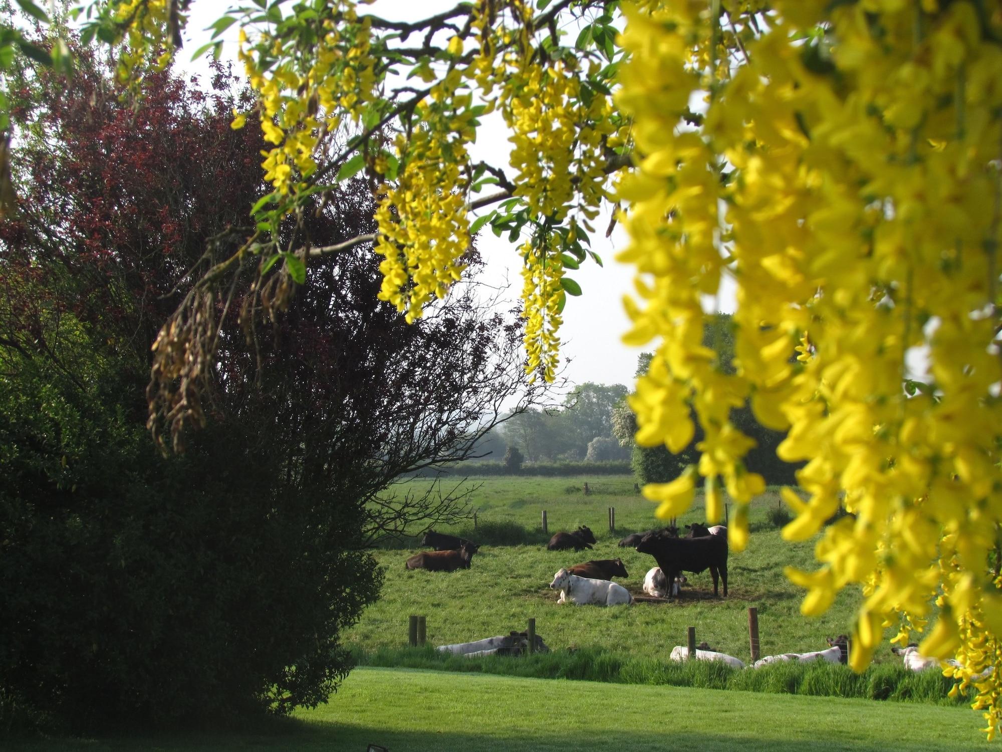 Comodidades del Alojamiento The Moorhead Bed & Breakfast