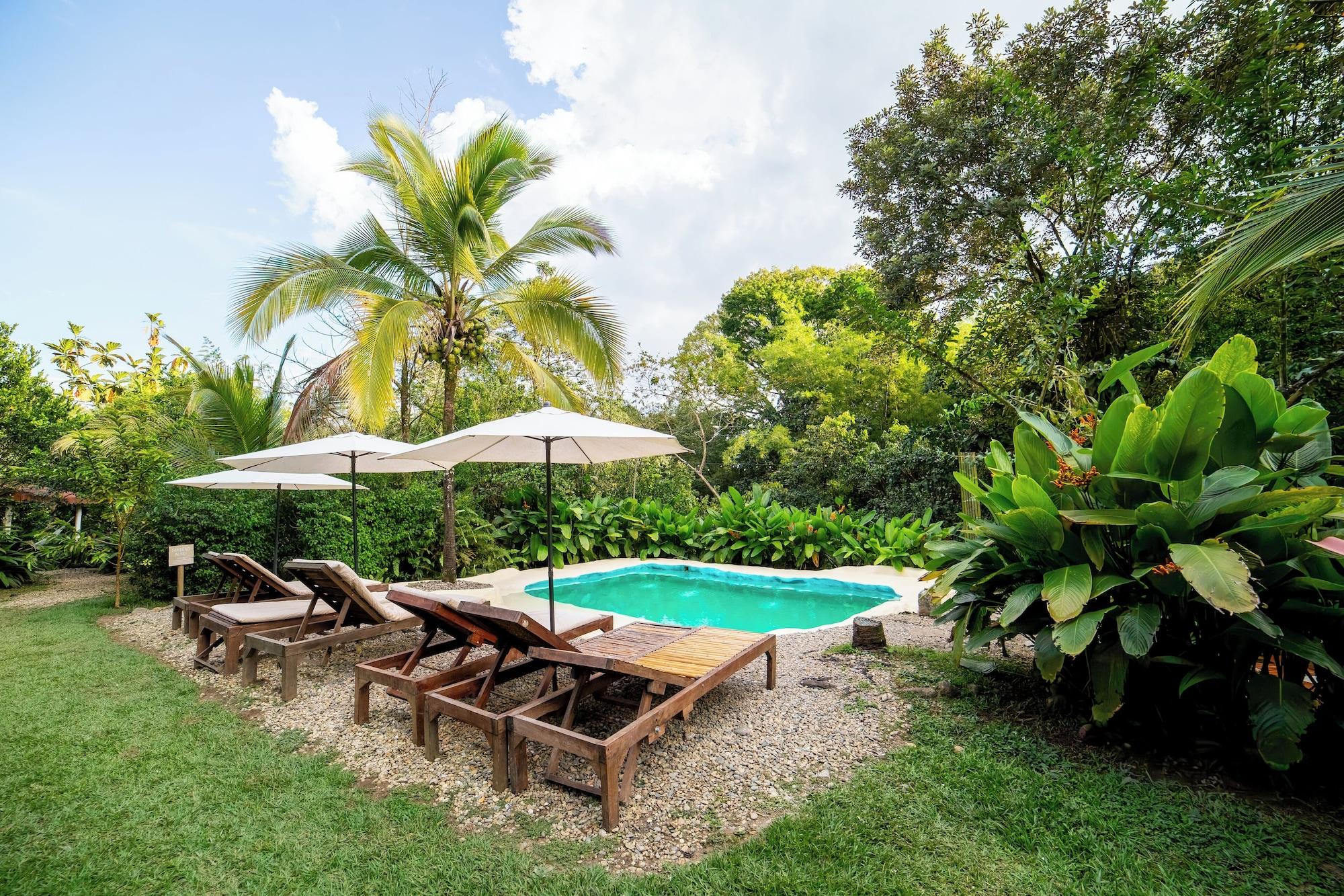 Vista Piscina Ecolodge Raíces