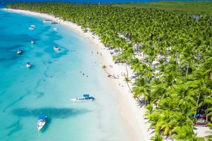 Actividad - Descubre la Isla Saona - Excursión de día completo