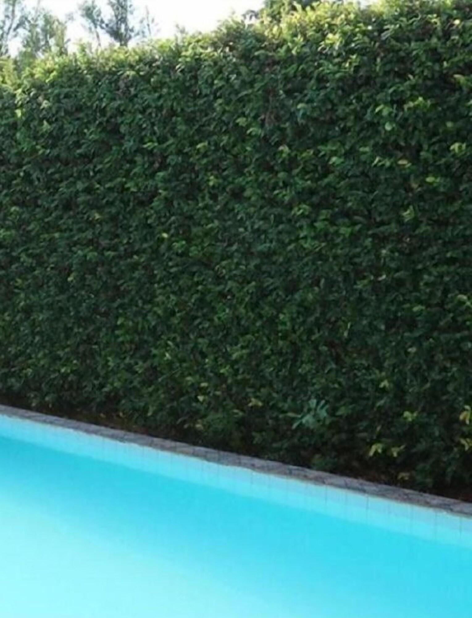 Vista Piscina Hotel Paris