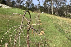 Alquiler Vacacional - The Origami Apartment. Spacious, private, local views......close to town