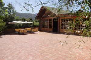 Alojamiento - Selva Negra