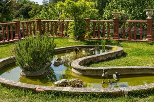 Alojamiento - Chalet Saudade