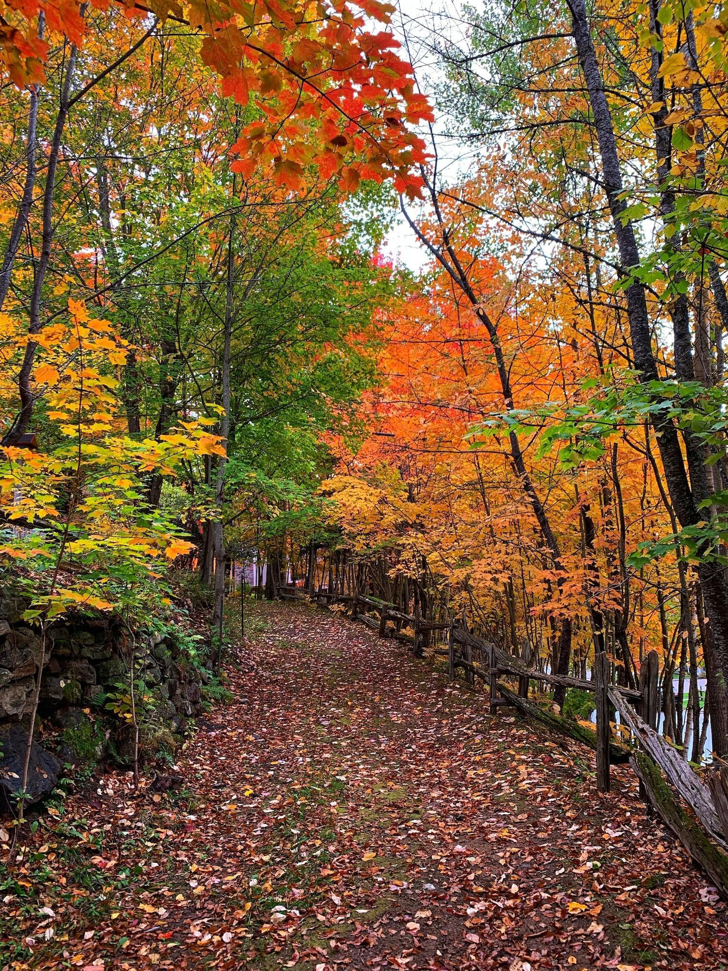 Vista Exterior Auberge Le Lupin B&B