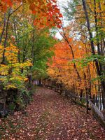 Alojamiento - Auberge Le Lupin B&B
