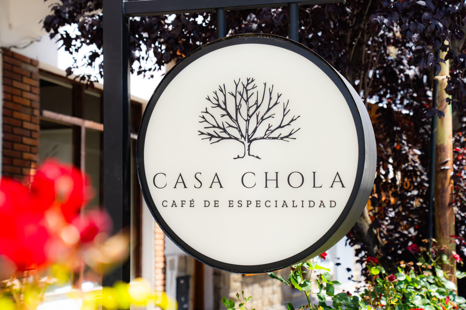 Comodidades del Alojamiento Hotel Tunqueley