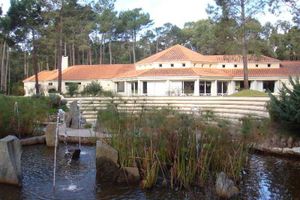 Alojamiento - Solanas Vacation Resort & Spa