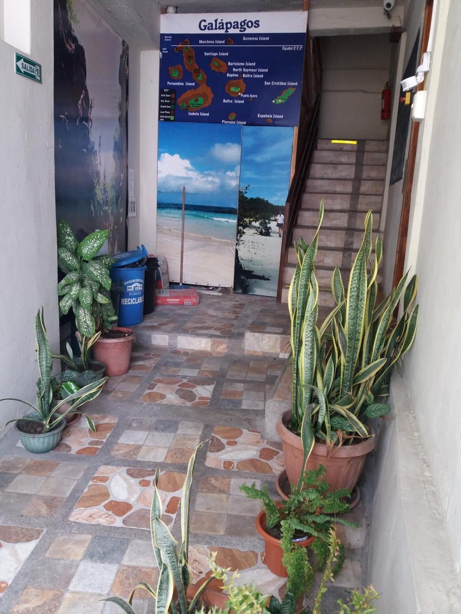 Vista Exterior Hostal Miconia