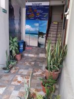 Alojamiento - Hostal Miconia