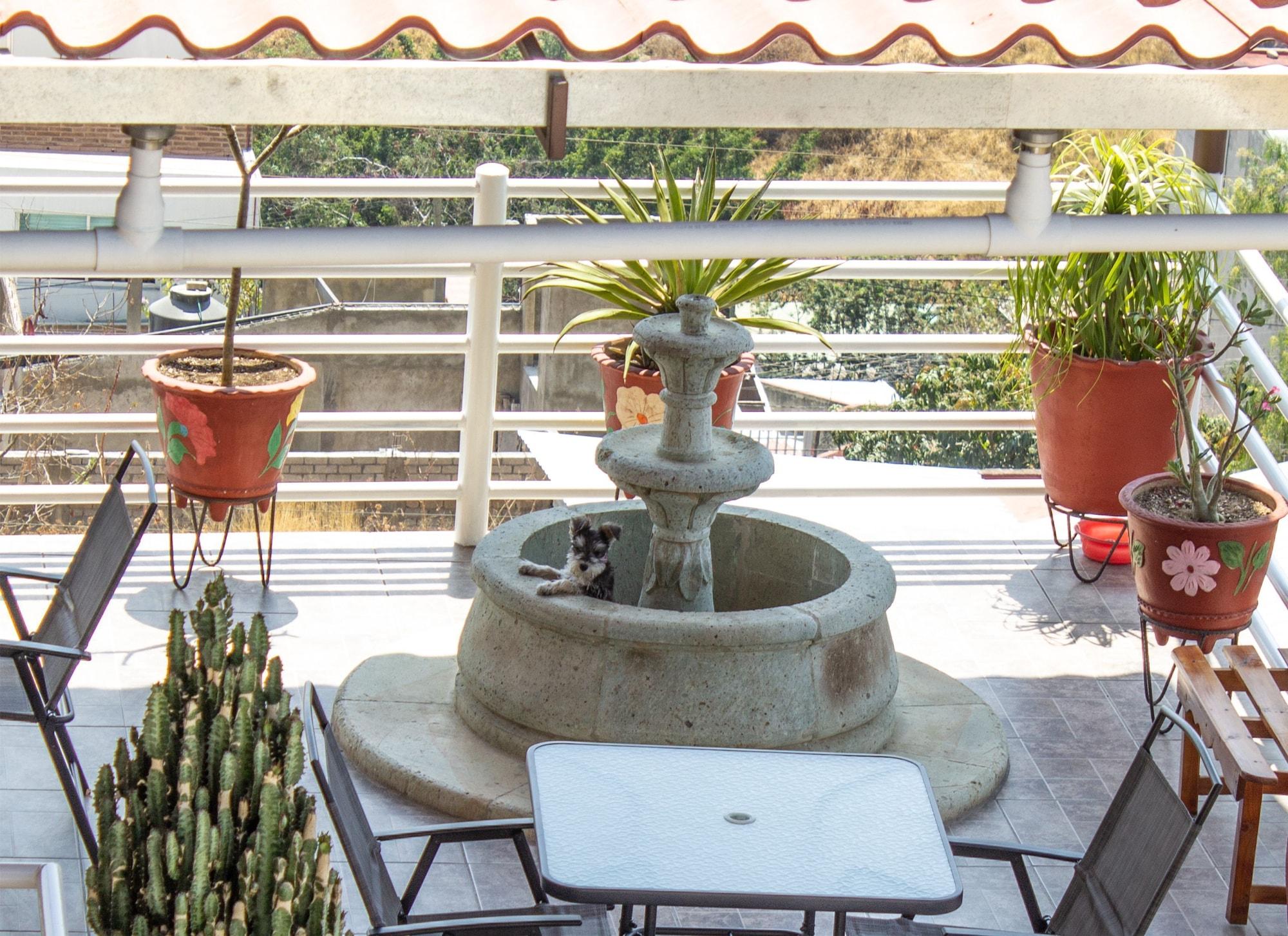 Vista Lobby Hotel Casa Leonor