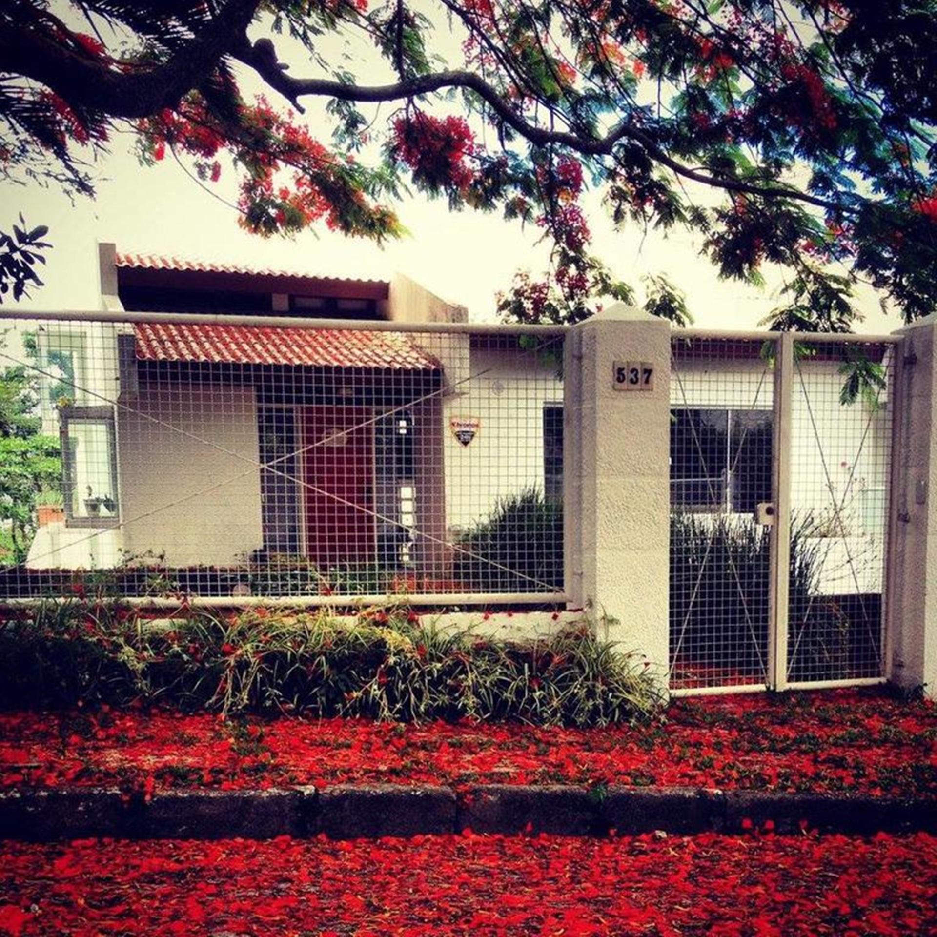 Vista Exterior Flamboyant House