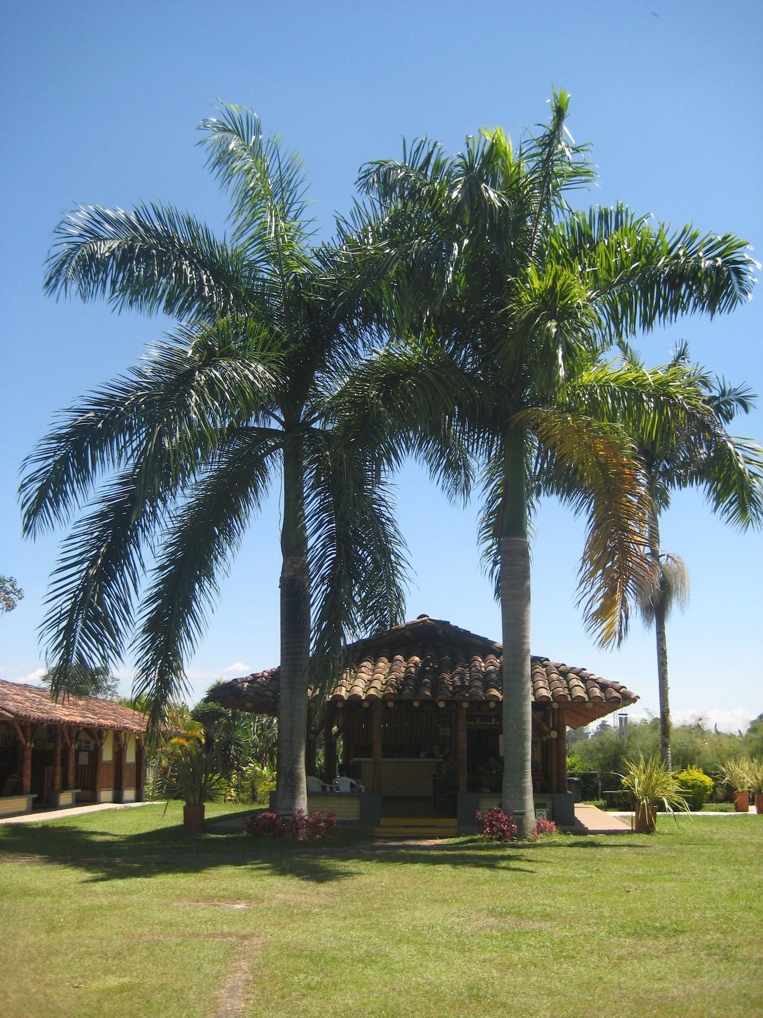 Restaurant Finca La Marsellesa