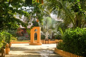Alojamiento - Amaan Beach Bungalows