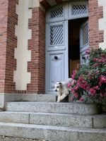 Alojamiento - La Villégiature