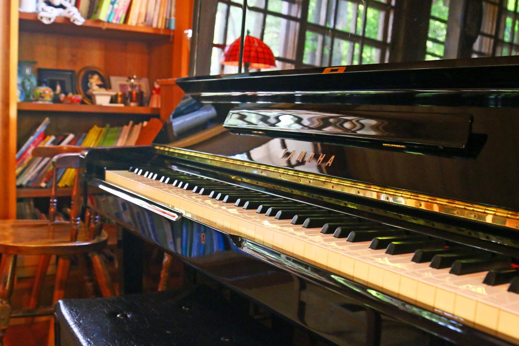 Vista Lobby Forest Resort Cosmos