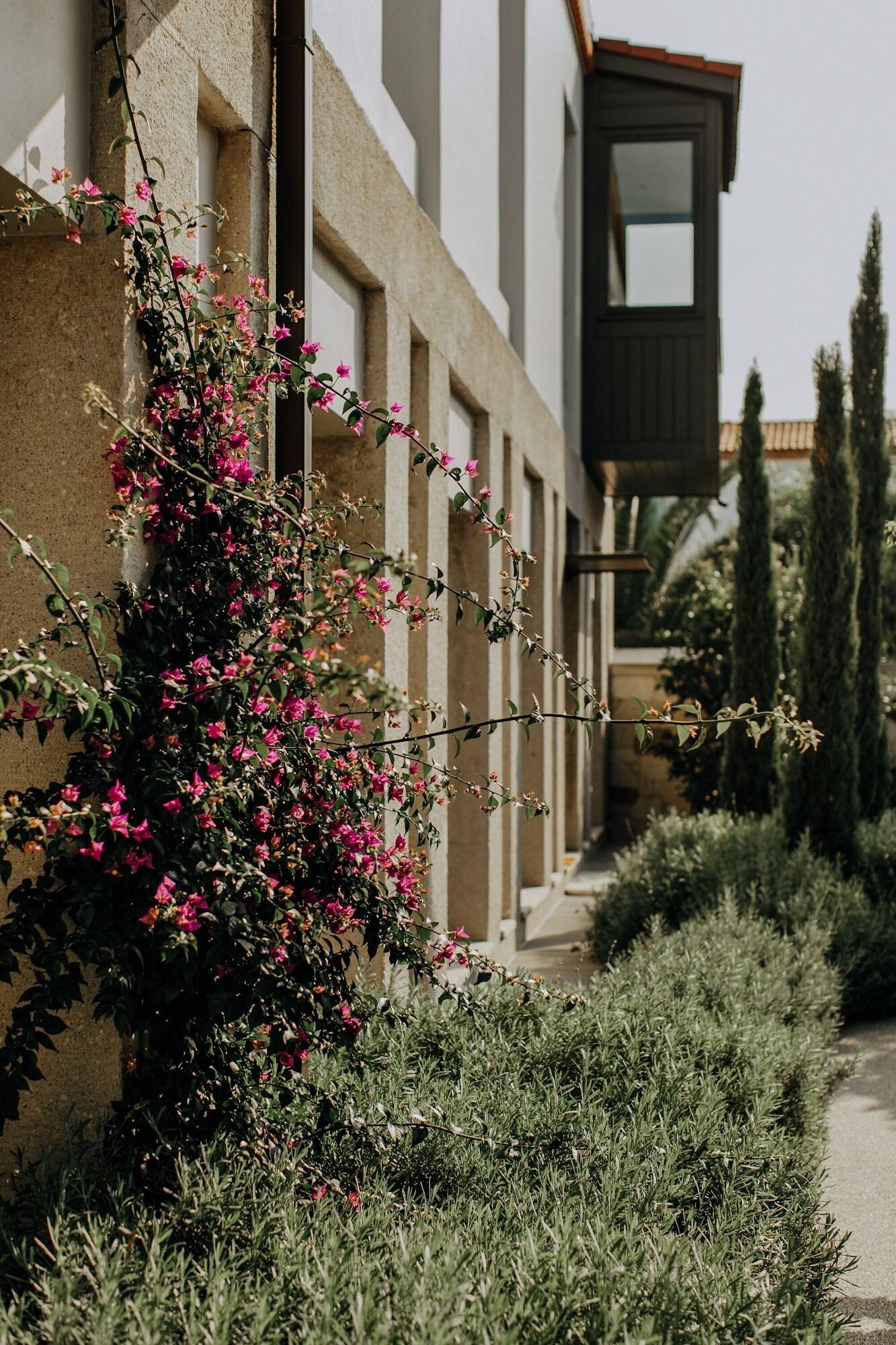 Vista Exterior Bernadet Alaçatı