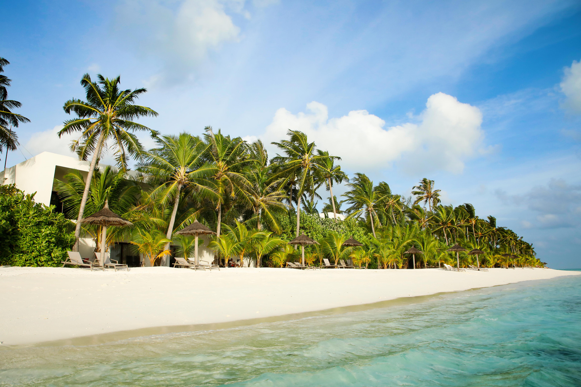 Playa Hotel Riu Atoll - All Inclusive