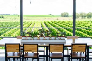 Actividad - Bodega Fripp con visita guiada, almuerzo y degustación