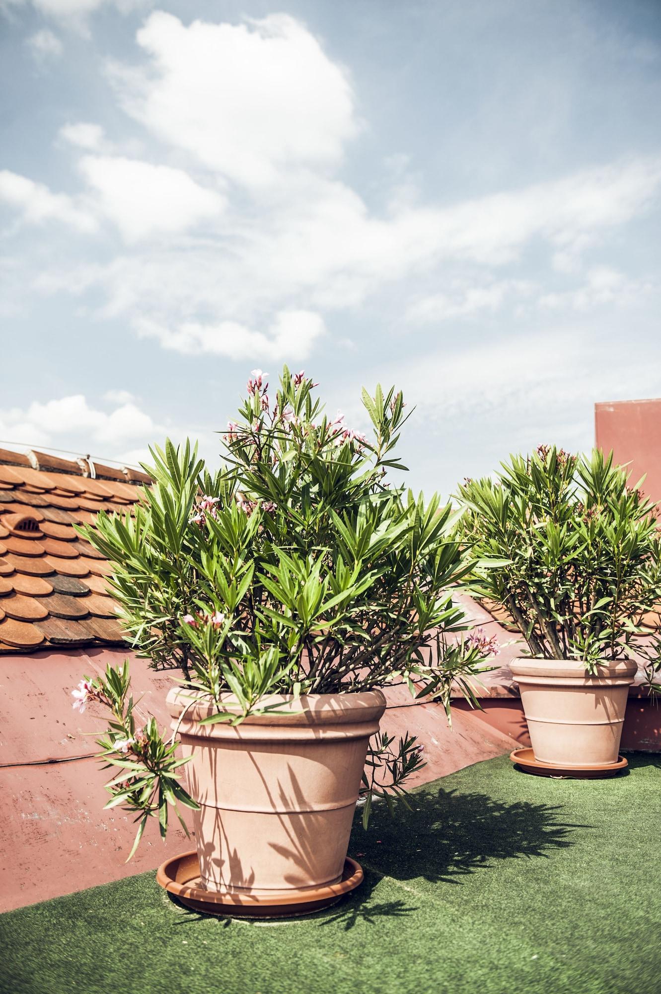 Spa Hotel Weitzer Graz